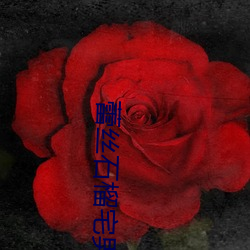 蕾丝石榴宅(zhái)男