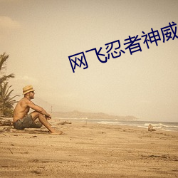 网飞忍者(者)神威(威)