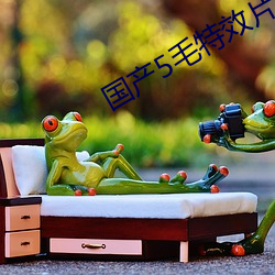 国产(chǎn)5毛特效片直播(bō)
