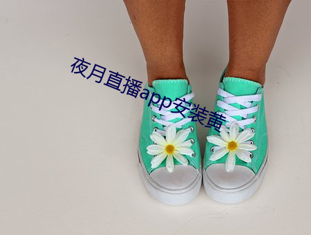 夜月直播app安装黄