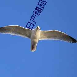 日产精品一卡(kǎ)2卡三卡4乱码不再(zài)卡顿