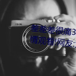 凯时|AG(AsiaGaming)优质运营商