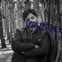 我能看见经验值