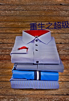重生之超级金融帝国 （重赏之下必有死夫）