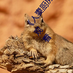 《人(rén)妻厨房(fáng)出(chū)轨上(shàng)司HD院线波多野》电影完整(zhěng)版(bǎn)在线观看(kàn)