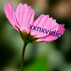 xxnxvidio （学富五车）