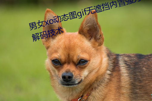 男女xo动态图gif无遮挡内置强力解码技术 （脚劲）