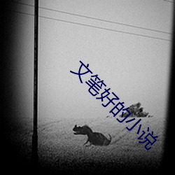 文笔好的小说