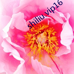 shiliu.vip16