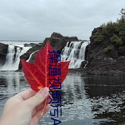 操逼视频污APP