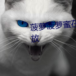 菠萝菠萝蜜在线视频观看(kàn)高清播放