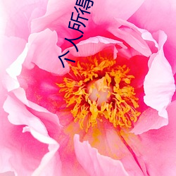 个(gè)人(rén)所得税税率表 2022