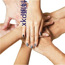 xkd蝌蚪吧导福(福)航