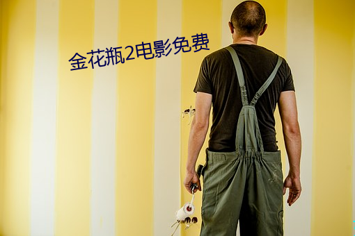 金花(huā)瓶2电影免费(fèi)