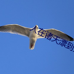 人(rén)在诸(zhū)天漂(piāo)到(dào)失(shī)联(lián)