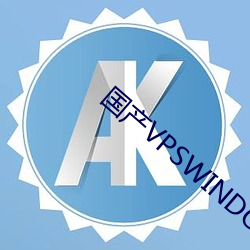 国产VPSWINDOWS精品 （网关）