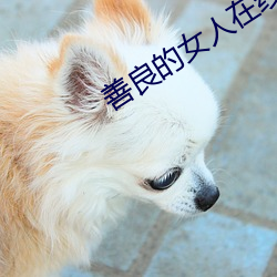 善良的女(nǚ)人在线(xiàn)观看免费(fèi)