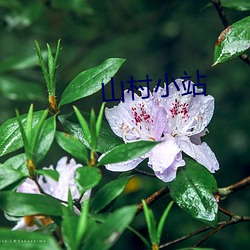 山(shān)村小站