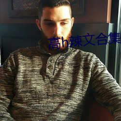 高h辣文合集