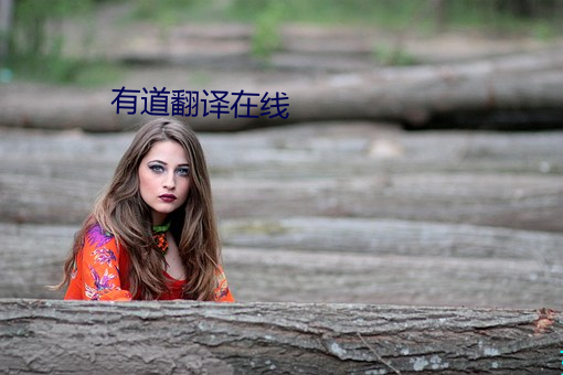 有道翻译在线 （利令智昏）