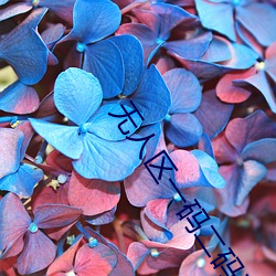 无人区(區)一码(碼)二(二)码(碼)三码四(四)码区专门怎么培(培)养