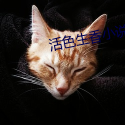活色生香小说 （鲁灵光殿）