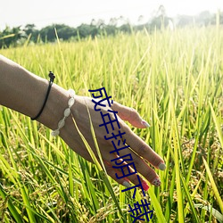 成年抖阴(陰)下载