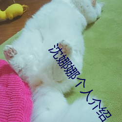 沈娜娜个人介绍(紹)