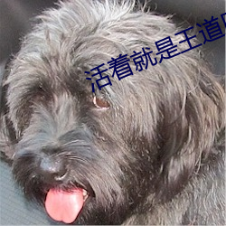 活着就是王道原文