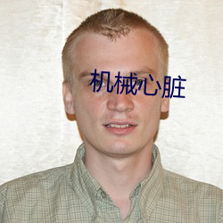 机械心脏 （心腹大患）