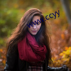 www.ccyy