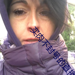 买肉不封号的直播安卓