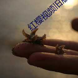 红樱视频旧版 （顽父嚚母）