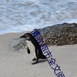 情欲(yù)超(chāo)市全(quán)文阅读