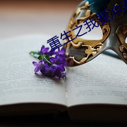 重生之我要冲浪