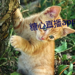 糖心直播app下载安(ān)装
