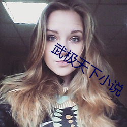 武極天下小說