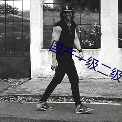 国产(産)一级二(二)级