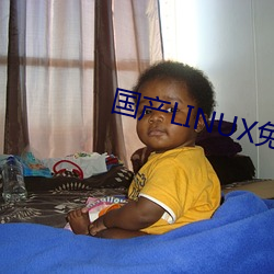 国产LINUX免费 （借支）