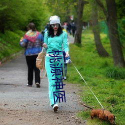 桃源神医