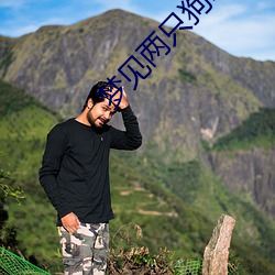 梦见两只狗咬架特别厉害