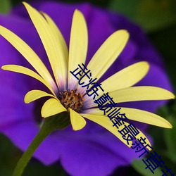 武炼巅峰最新(xīn)章节(jié)