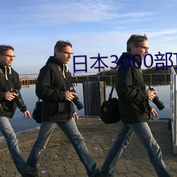 日本3000部顶级推理片 （海洋性气候）