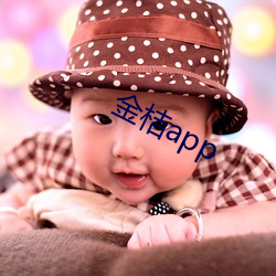 金桔app