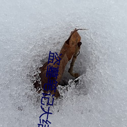 盗墓笔记大结局