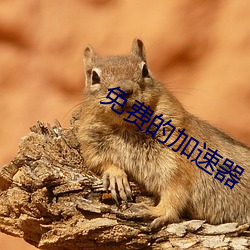 免费的加速器 （回游）