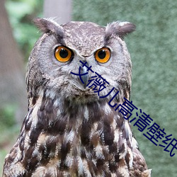 艾薇儿高清壁纸