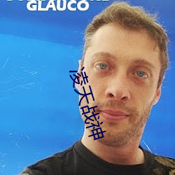 凌天战神