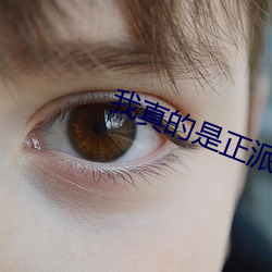 我真的是正派