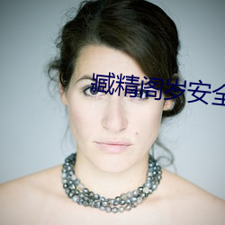 臧精阁(gé)岁(suì)安(ān)全入(rù)口